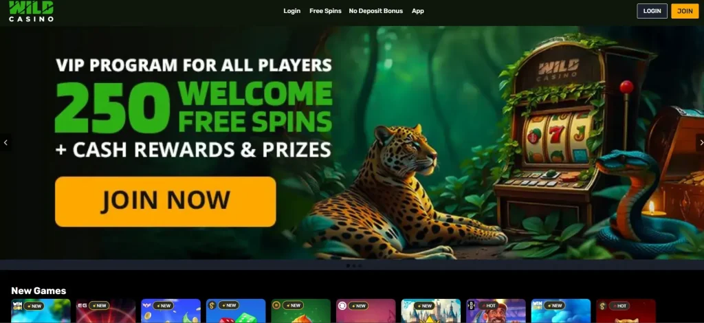 Wild Casino: No Deposit USA Slots And Crypto Bonuses